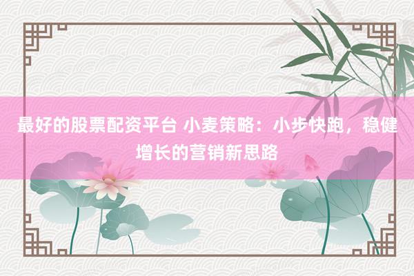 最好的股票配資平臺 小麥策略：小步快跑，穩(wěn)健增長的營銷新思路