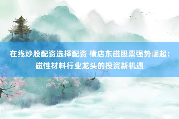 在線炒股配資選擇配資 橫店東磁股票強(qiáng)勢崛起：磁性材料行業(yè)龍頭的投資新機(jī)遇