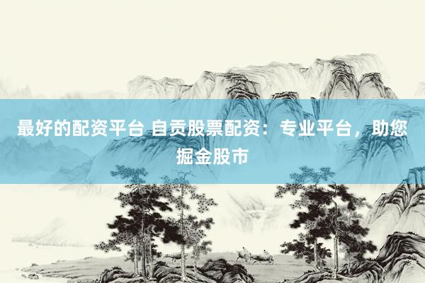 最好的配資平臺(tái) 自貢股票配資：專(zhuān)業(yè)平臺(tái)，助您掘金股市