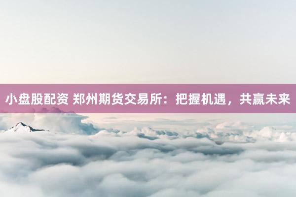 小盤股配資 鄭州期貨交易所：把握機遇，共贏未來