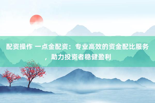 配資操作 一點金配資：專業(yè)高效的資金配比服務，助力投資者穩(wěn)健盈利